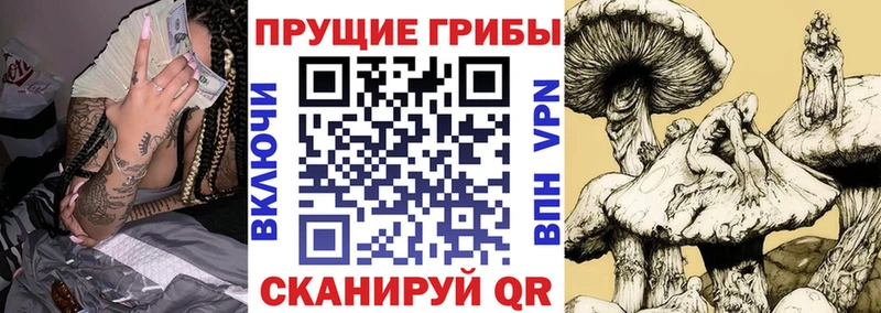 Галлюциногенные грибы Cubensis  Саянск 